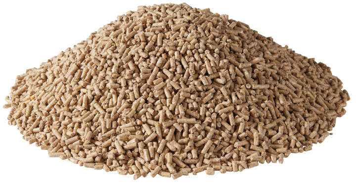 Golddott Hennenkorn Pur